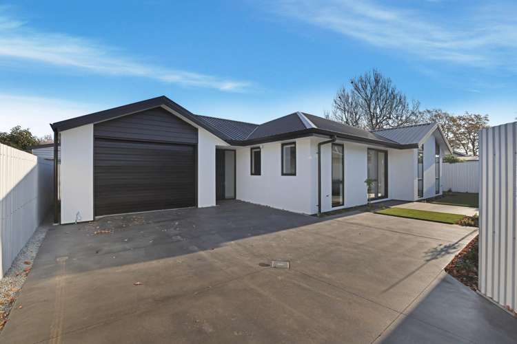 8C Cameron Street_0