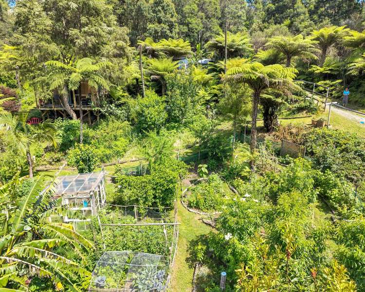 Ohiwa Loop Road Waiotahi_25