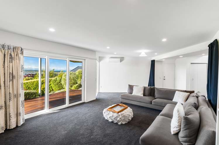 133 Major Hornbrook Road Mount Pleasant_12