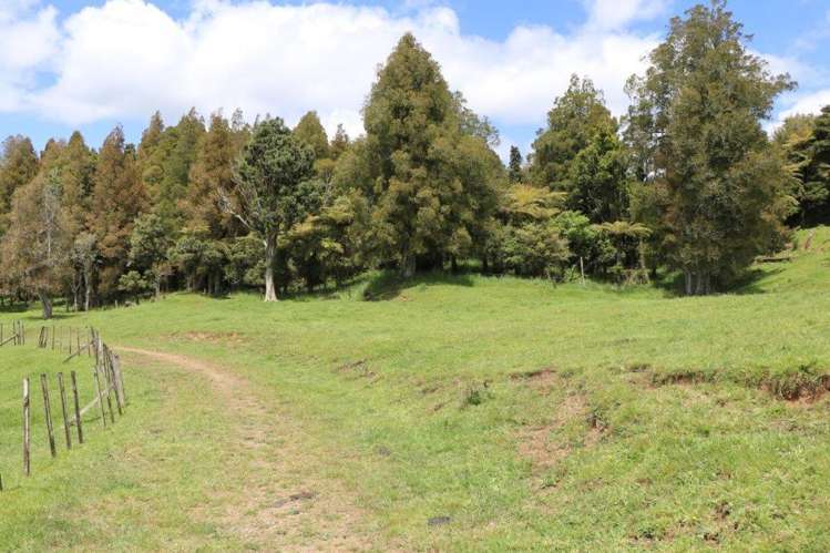 25 Gully Road Pukemiro_6