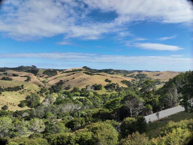 79 Awaawaroa Road Awaawaroa Bay_1