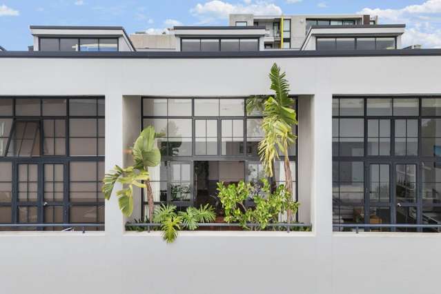 8/34 Pollen Street Grey Lynn_1