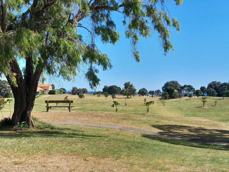 115 Waimaire Matarangi_3