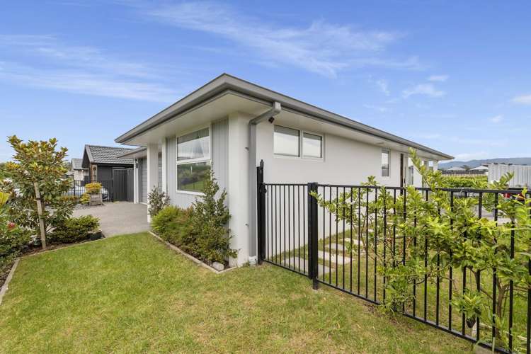 2C Kauri Lane Omokoroa_12