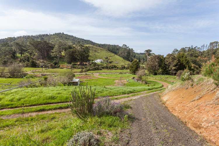 217 Kaimarama Road Kaimarama_22