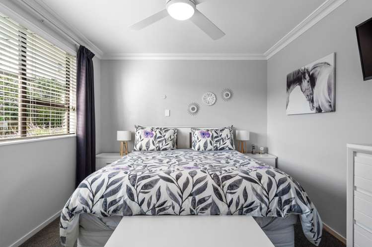 24a Greenhill Road Wakatu_9