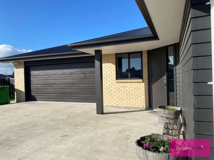 15 George Street Bulls_1