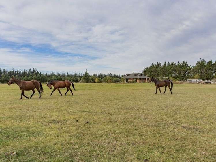 58 Harpers Road Loburn_21