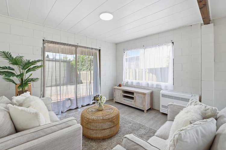 115 Springfield Road Springfield_13