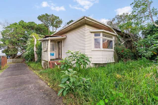 299 Mount Albert Road Wesley_1