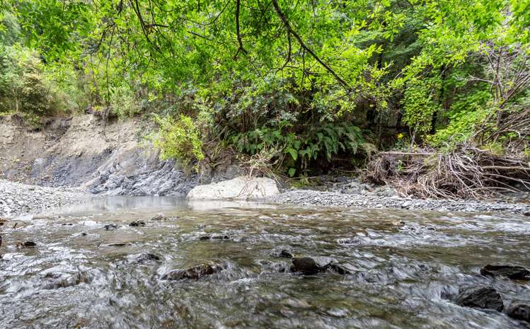 144 Glentui Bush Road Glentui_7