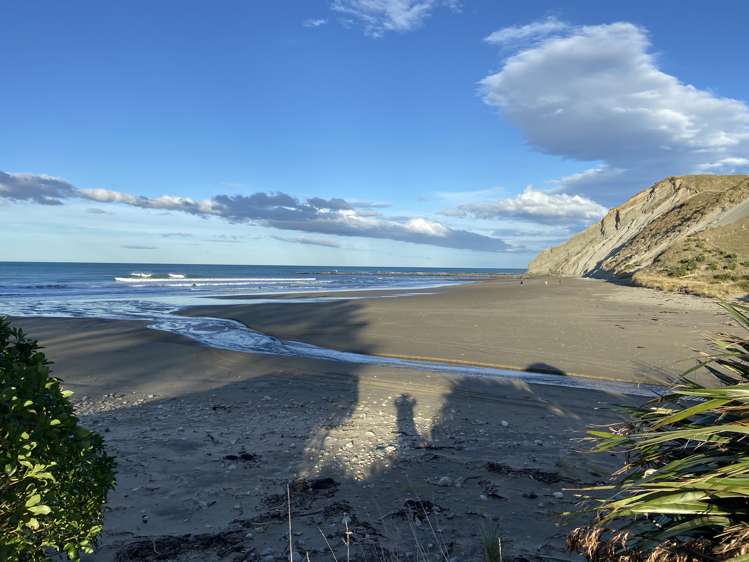 5 Mcgregor Lane Ashburton_13