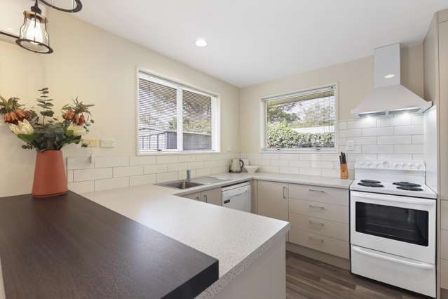 55b Halswell Road Hillmorton_2