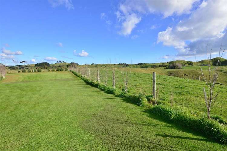 368 Evans Road South Head_20