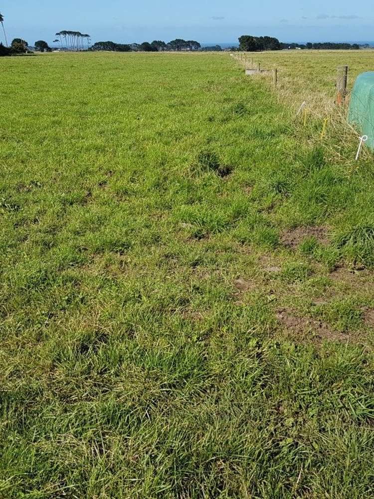 349 Ihaia Road Opunake_24