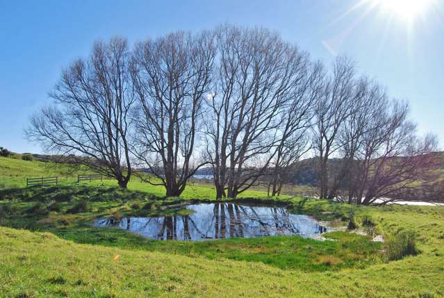 27 Waterview Crescent Kaiwaka_2