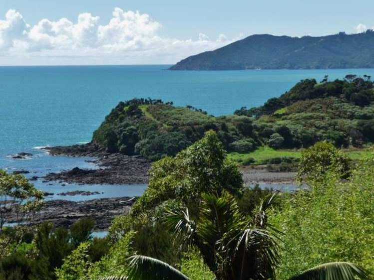 260 State Highway 10 Cable Bay_37