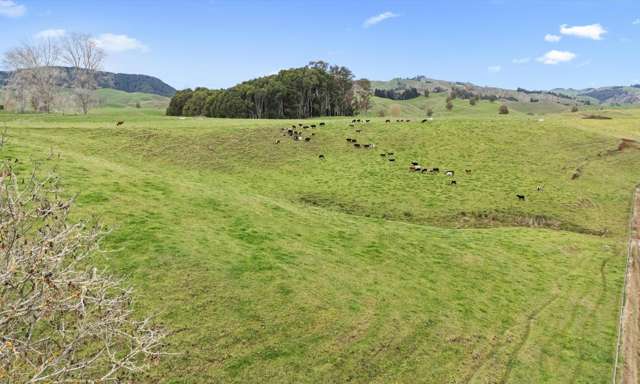 00 Pukerimu Road Waitomo_3