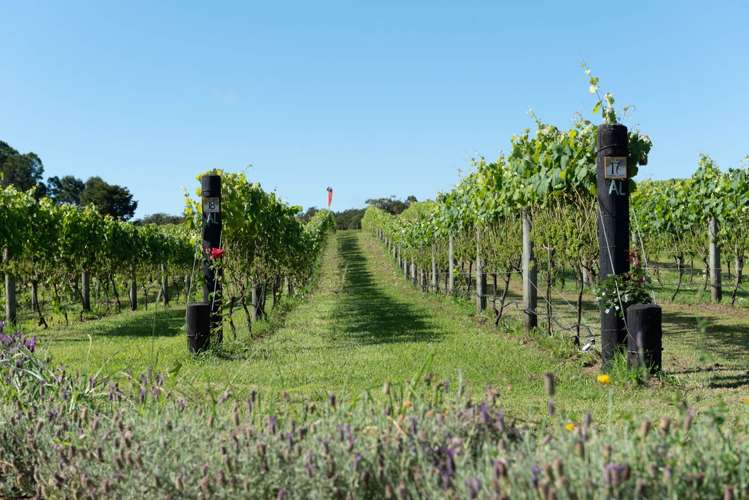 165A Waimate North Road Kerikeri_3