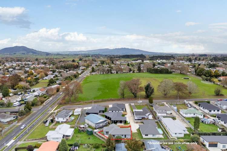 49D Hall Street Kihikihi_20