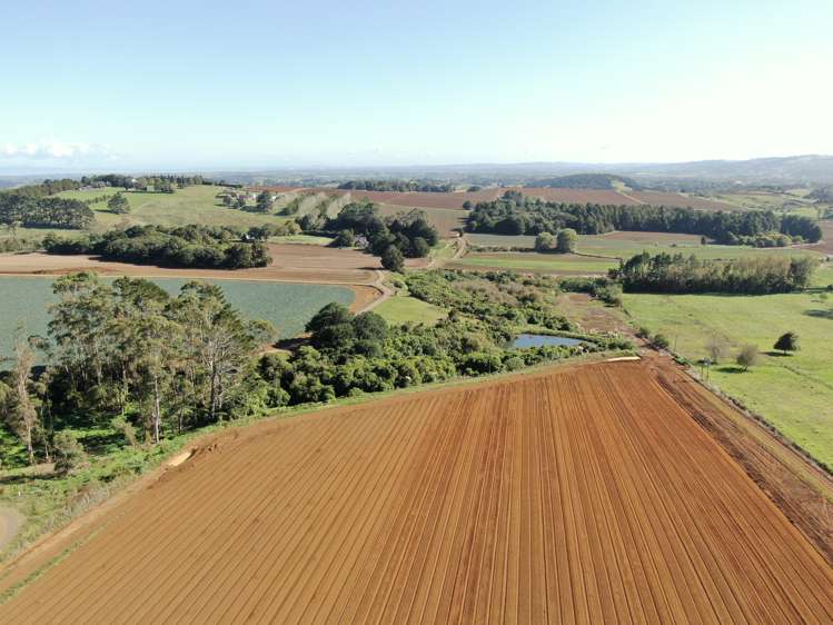 87 Mill Road Pukekohe East_11