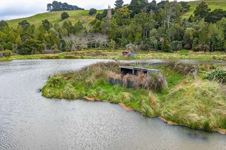 1550 Glenora Road Akitio_7