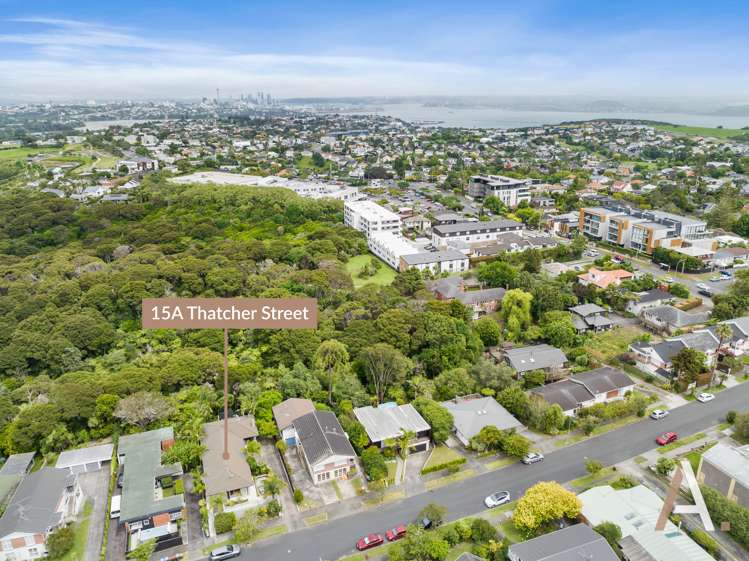 15a Thatcher Street Mission Bay_26