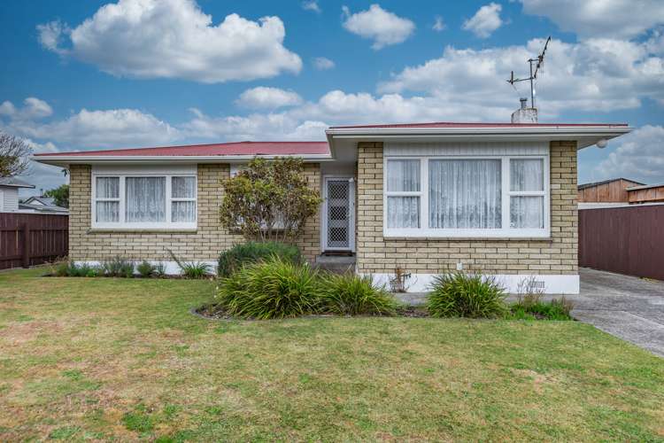 6 Grey Street Levin_15