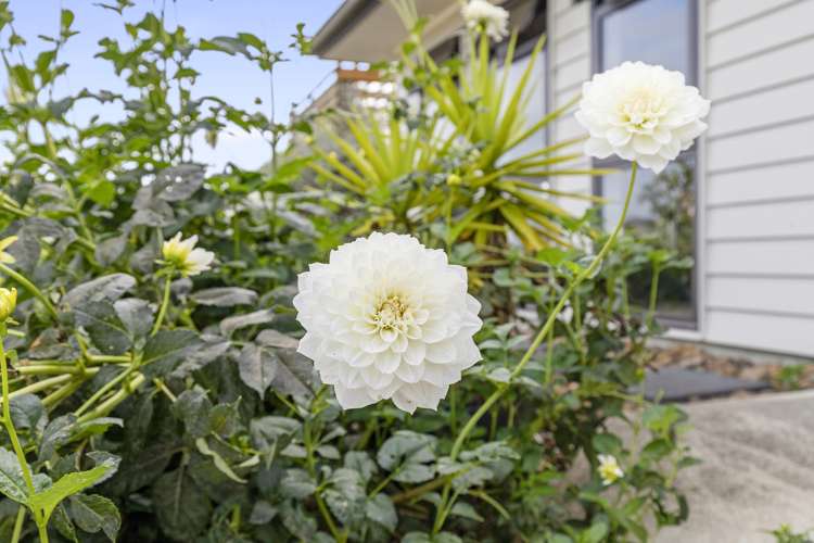 45 Blunt Road Te Kauwhata_26