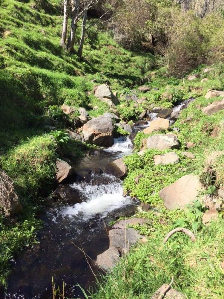 4987 Christchurch Akaroa Road Little River_19