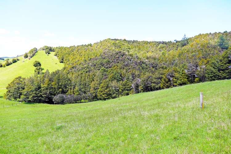 Hukerenui Road Hukerenui and Surrounds_5