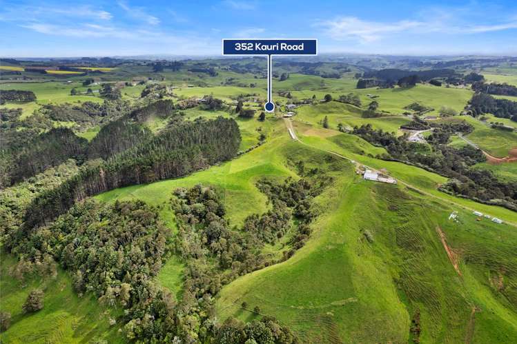 352 Kauri Road Onewhero_20