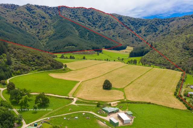 349 Anakiwa Road Anakiwa and Surrounds_1