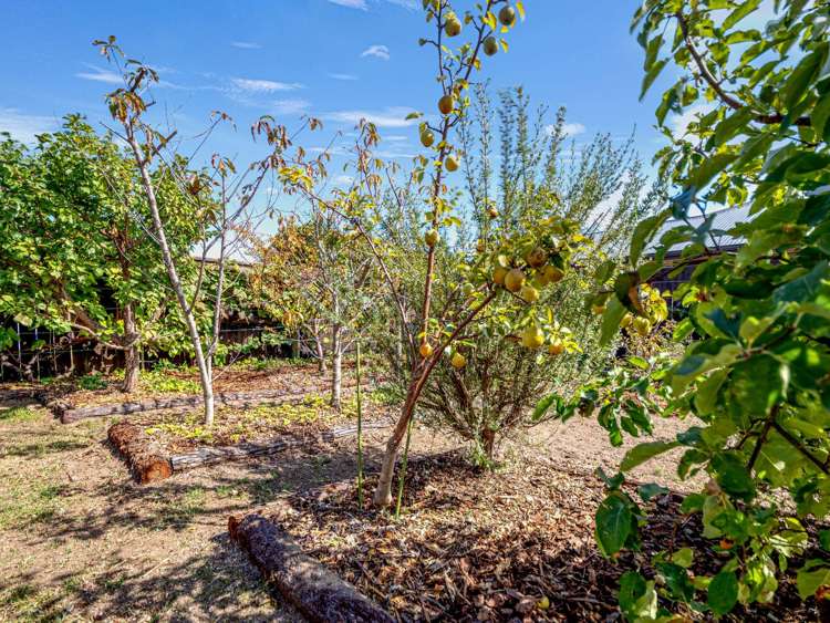 5 Barbary Close Wharewaka_30
