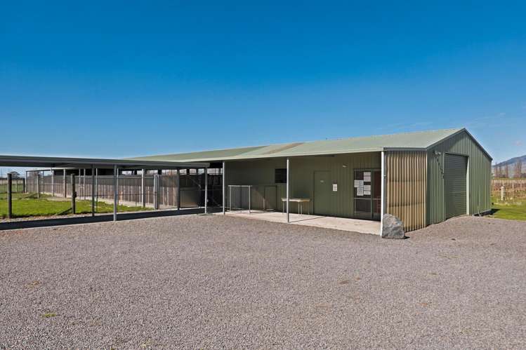 519 Old Renwick Road Springlands_10
