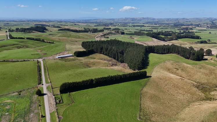 Glendhu Road Mataura_11