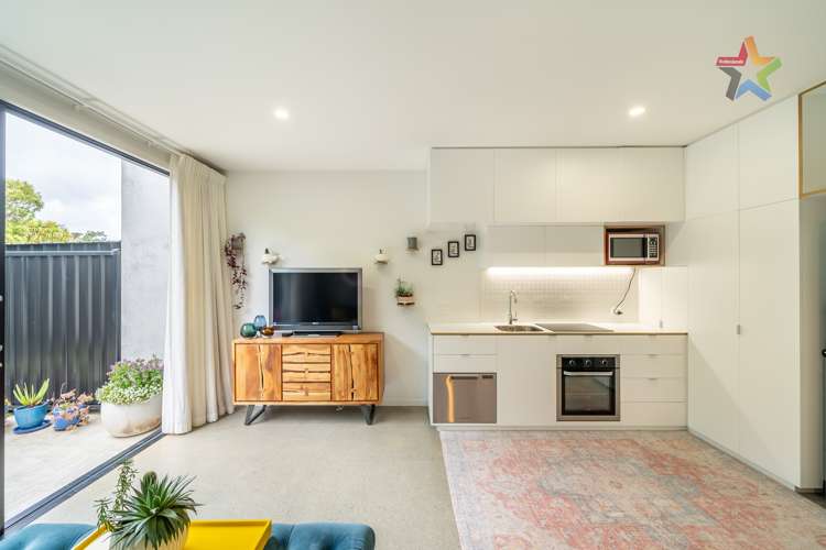 15 Te Ara O Paetutu Petone_8