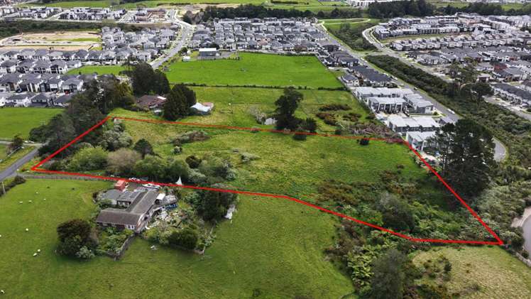 48 Longhorn Drive Flat Bush_3