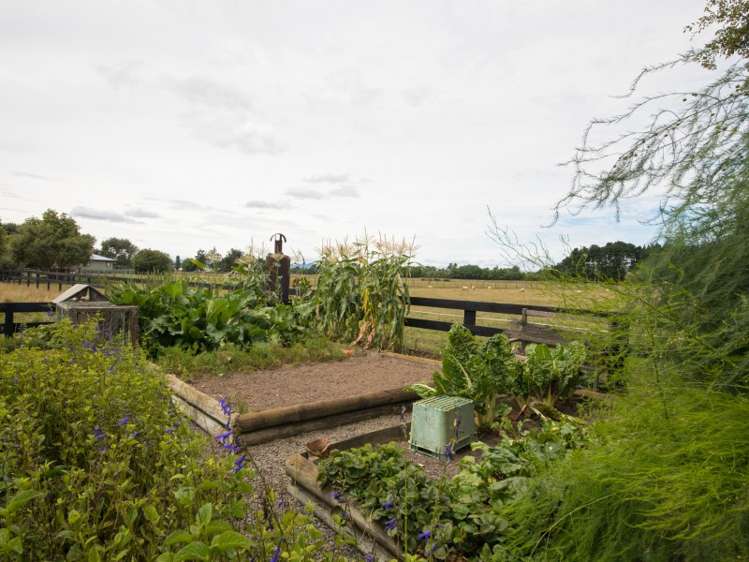 181 Kawakawa Road Feilding_22