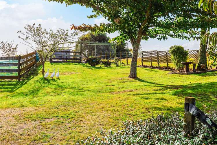 216 Kawakawa Road Kinloch_19