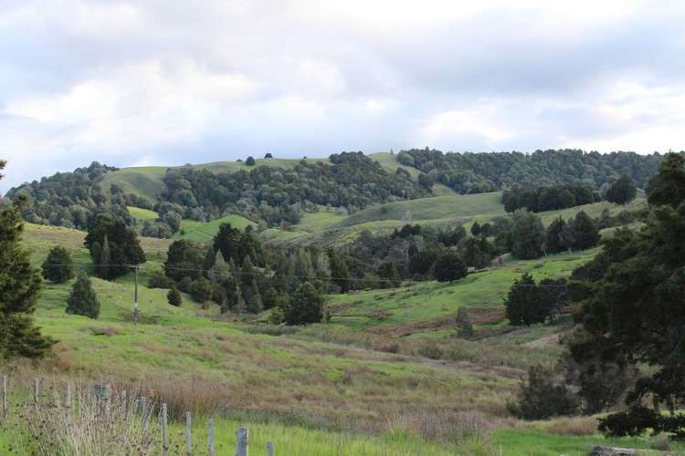 Pipiwai Road Ruatangata_8