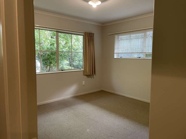 23b Donald Street Regent_11