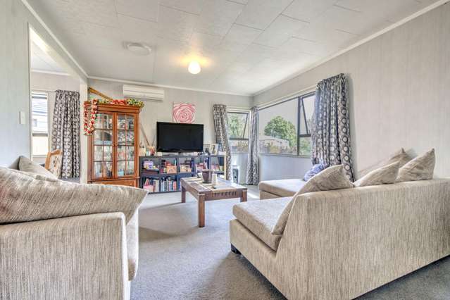 67 Dominion Road Nawton_4