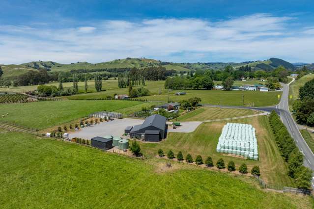 1148 Neudorf Road Dovedale_3