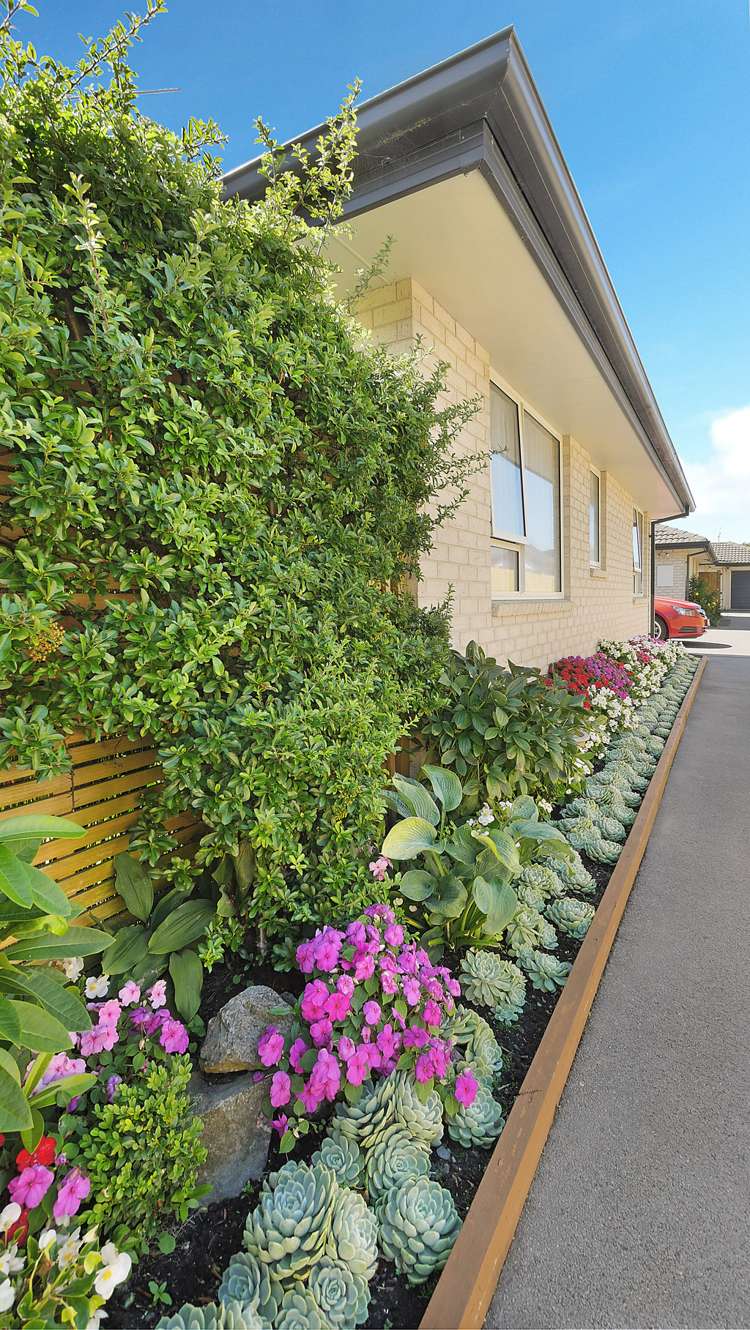 25b Silvester Street Woolston_9