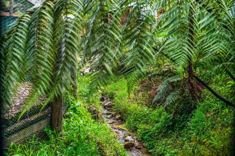 9 McLean Drive Havelock_36