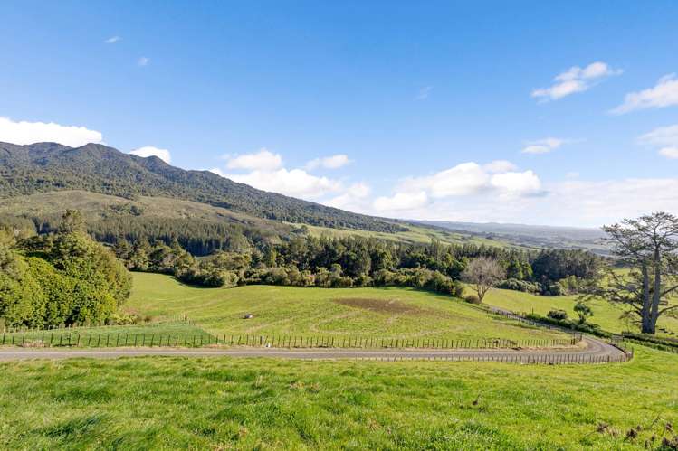 2/471 Sainsbury Road Pirongia_13