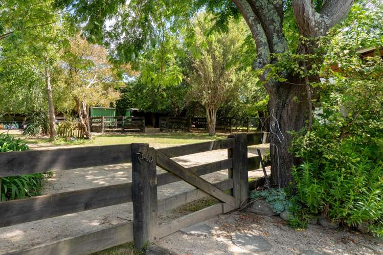 167 Lincoln Road Carterton_18