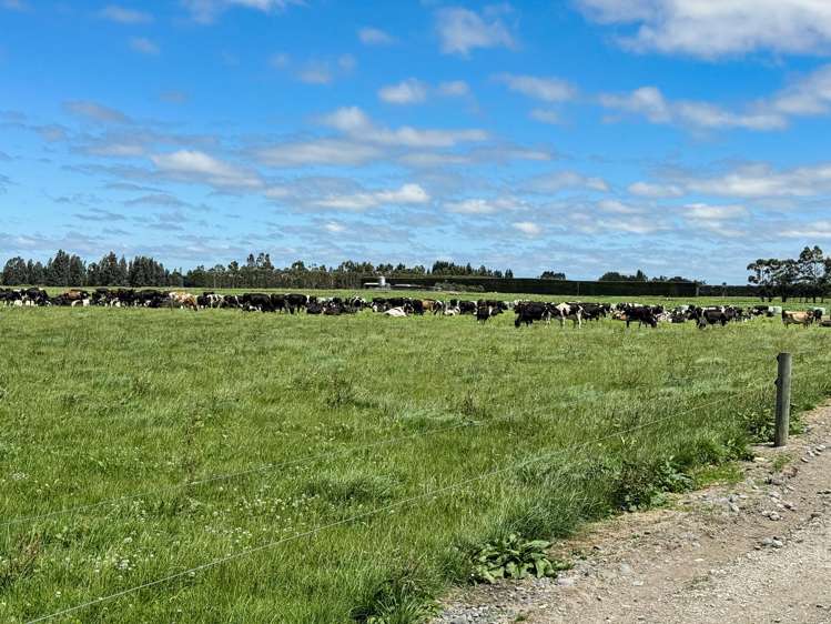 545 Coal Pit Wyndham_13