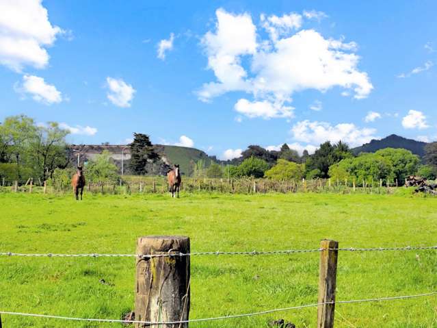 28 Kakariki Street Mangaweka_3